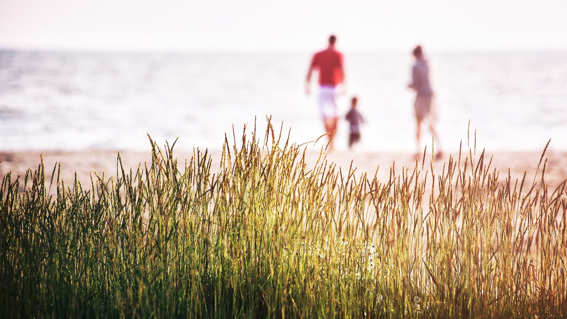 Top 10 of Family Hotels in London 2